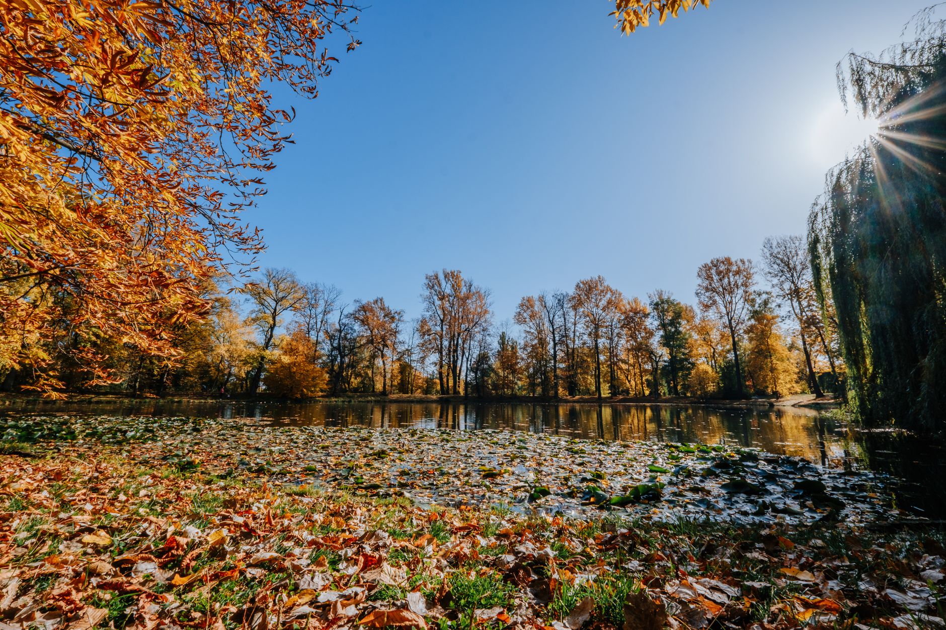 Wetter - Verbreitet sonnig und sehr warm