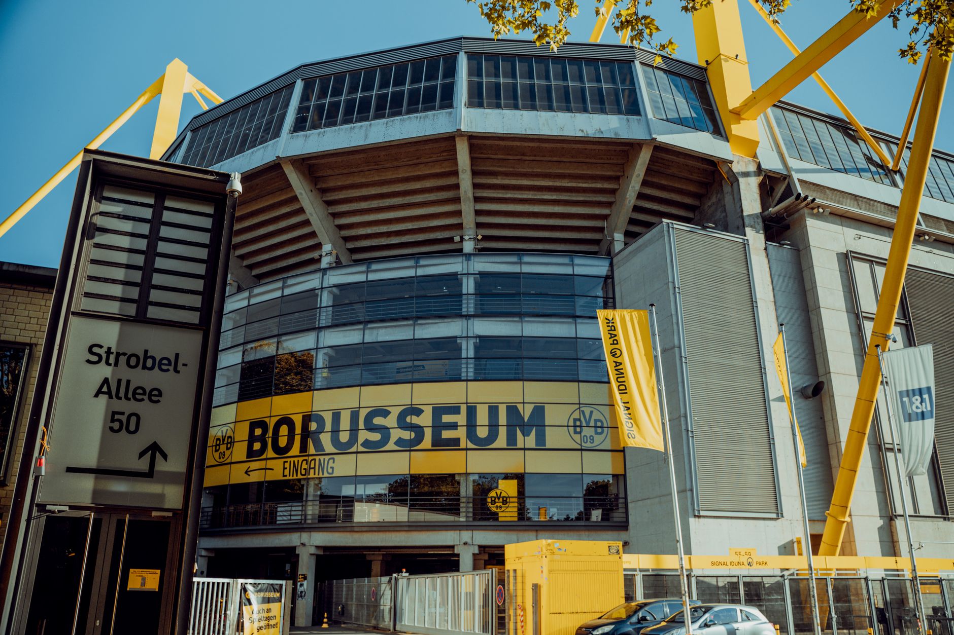 Abenteuer Bundesliga: Zwischen Euphorie und Alltag in Elversberg