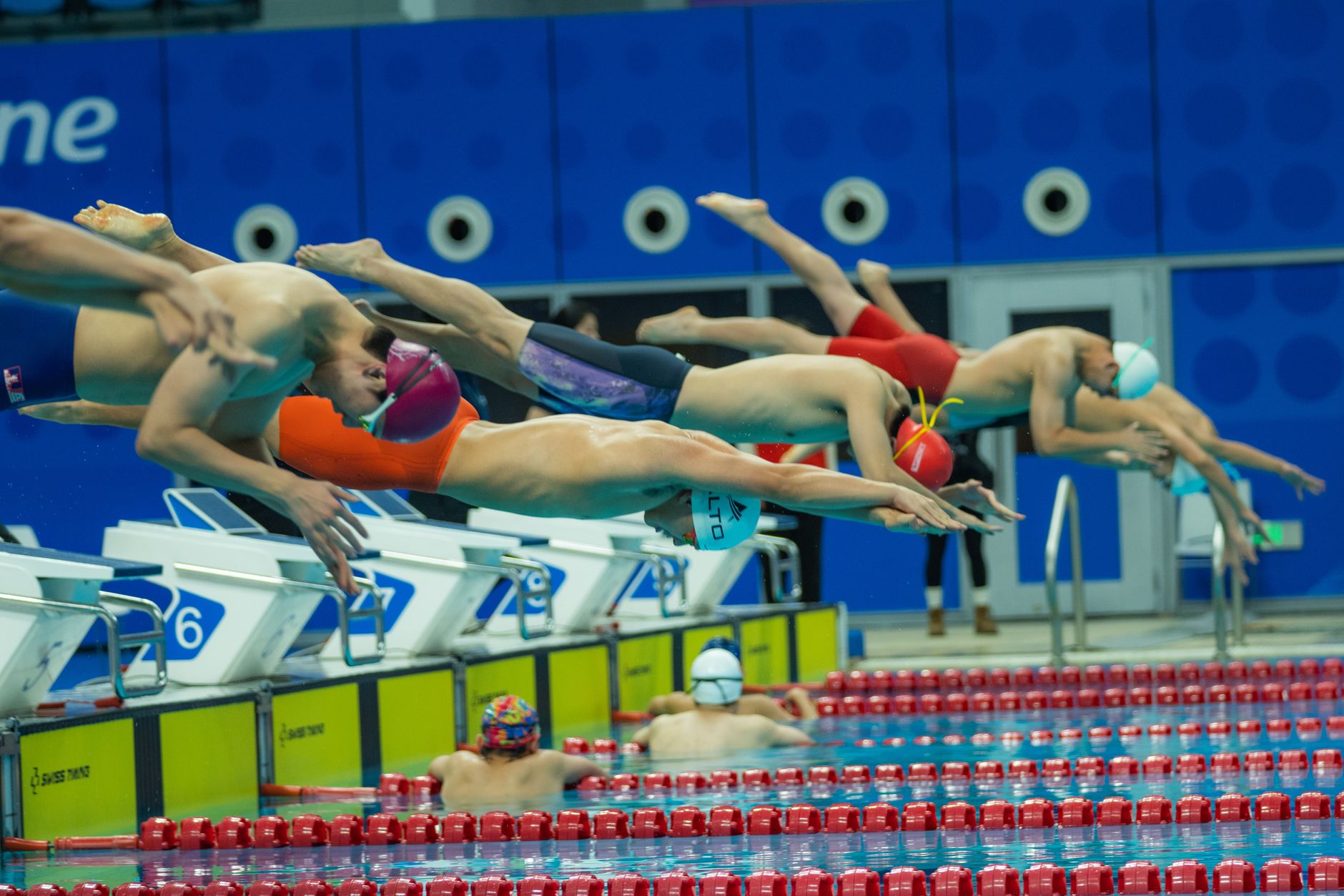 Schwimmen - Gose und Werner gewinnen Silber und Bronze bei EM in Paris