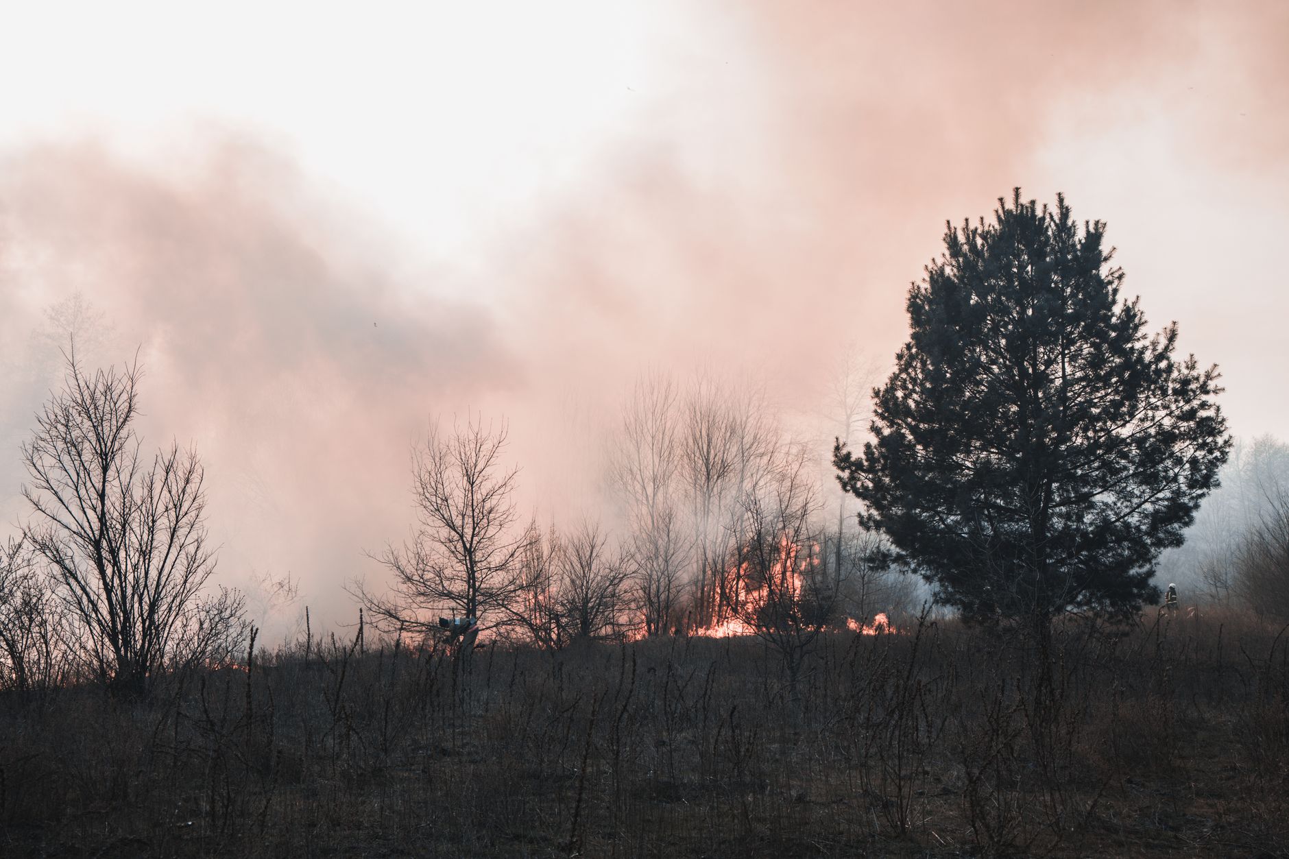 Waldbrände - SPD-Parlamentsgeschäftsführer Wiese schlägt Strafverschärfung für Brandstiftung vor
