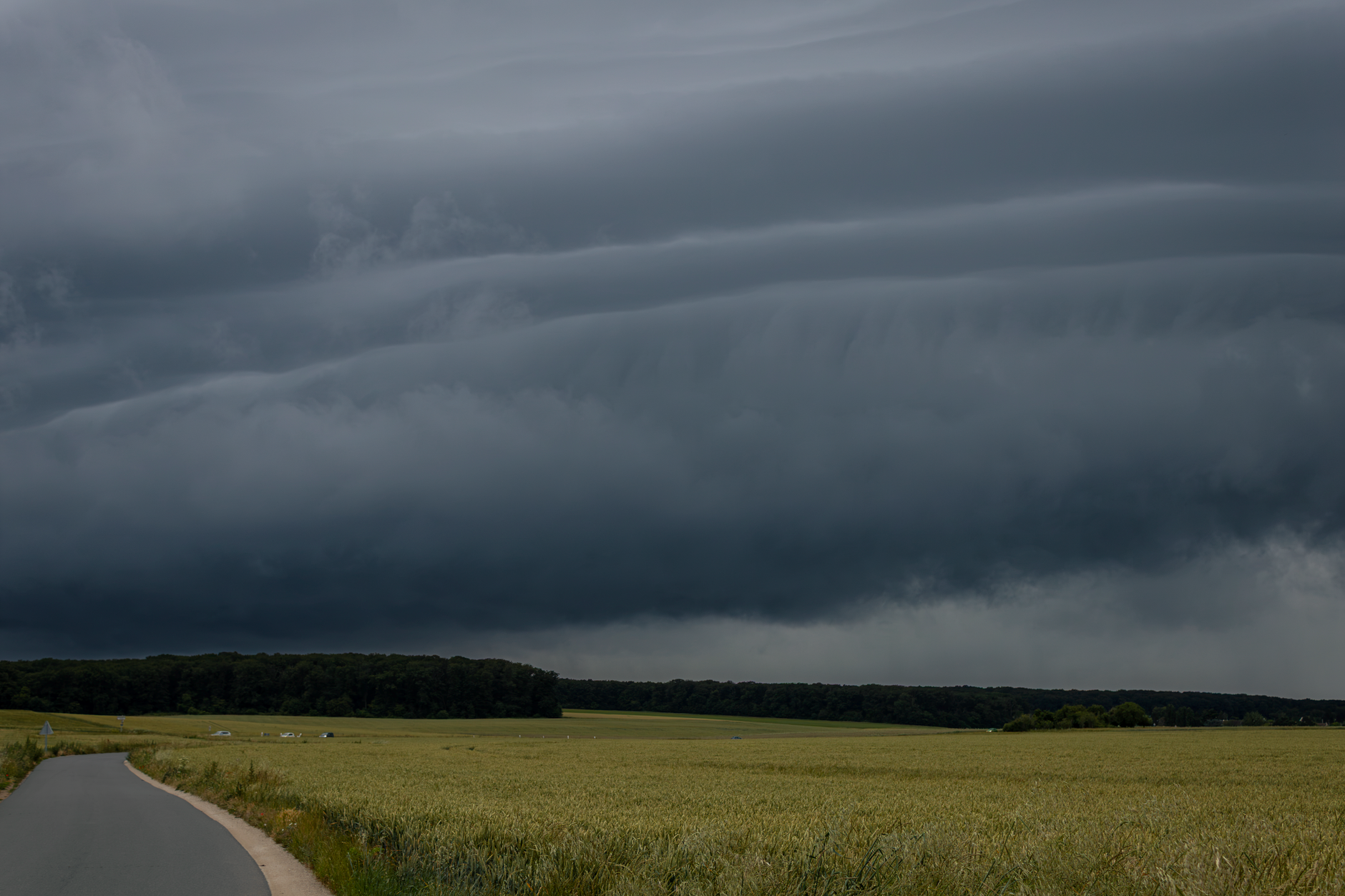 Unwetter - Frau wird in Rheinland-Pfalz von umstürzendem Baum erschlagen - Tornados in Brandenburg und Hessen
