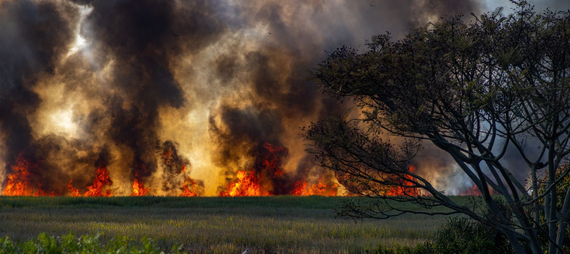 Nach dem Waldbrand - Bundeskanzler Merz dankt Einsatzkräften in Hürtgenwald