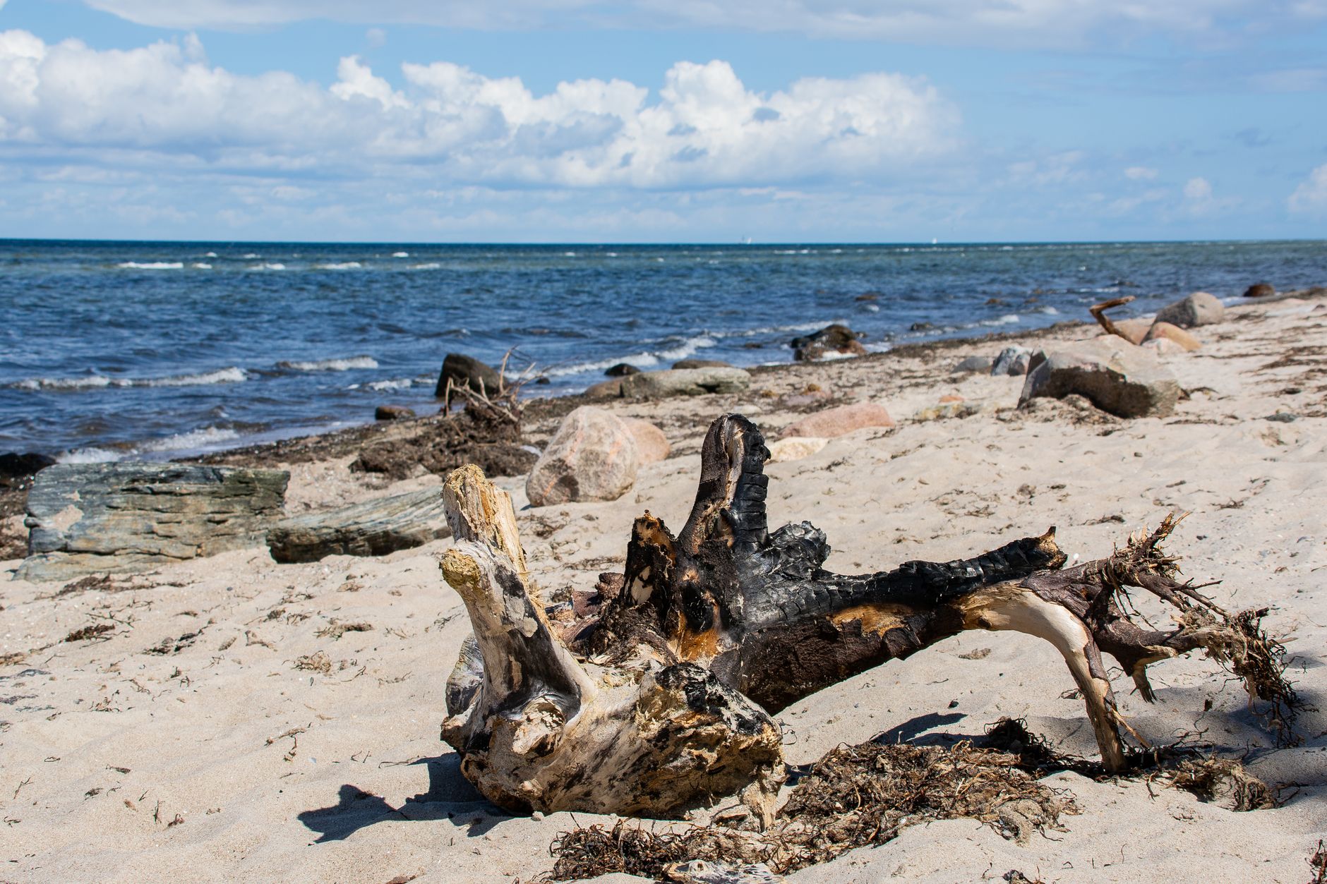 Ostsee-Anrainer vereinbaren Taskforce gegen hybride Bedrohungen