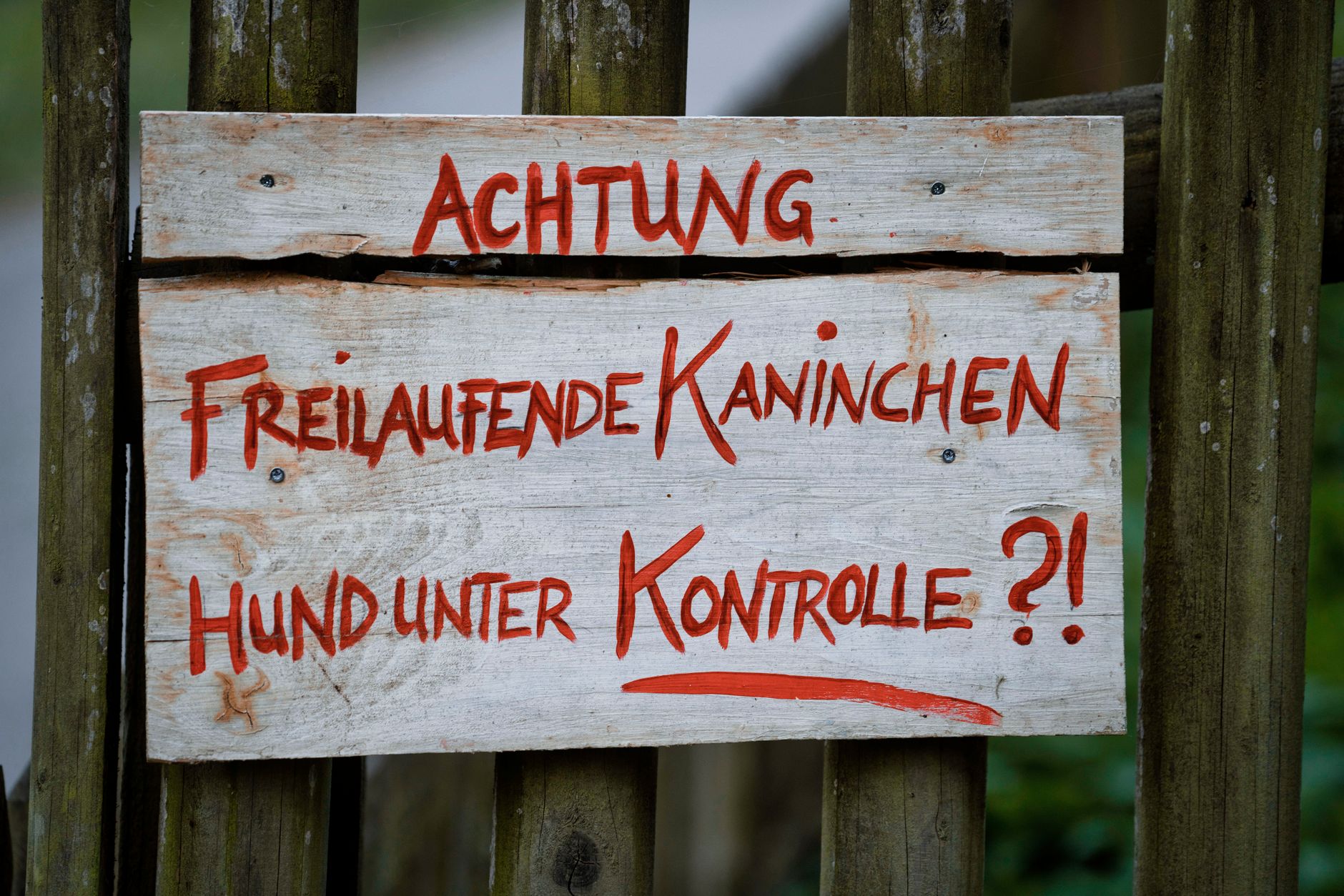 Infektionen - Kongo: Zahl der Ebola-Toten auf über 3.000 gestiegen