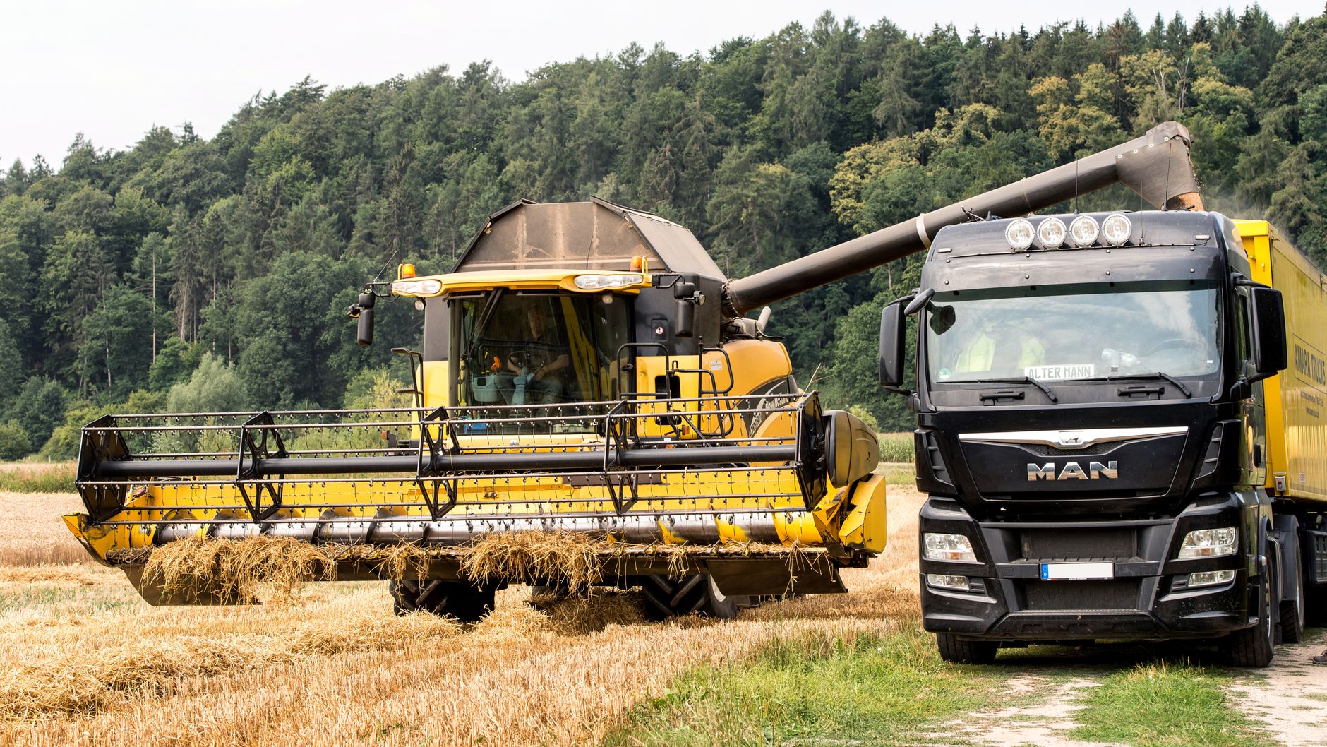 Erntebericht - Agrarminister ruft nationale Krise in der Landwirtschaft aus - staatliche Hilfen geplant