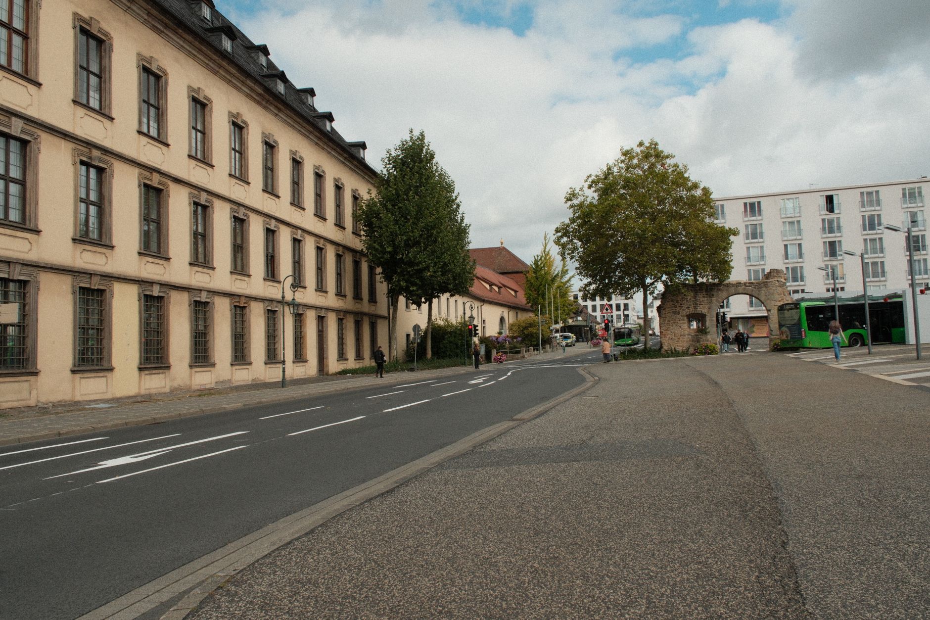 Kita-Kinder pflanzen Baum des Jahres 2026: Zitterpappel